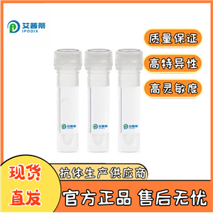 CDK8抗体；CDK8 antibody  艾普蒂生物              