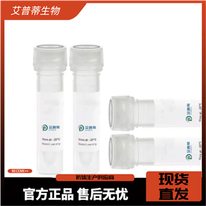 CIZ1抗体；CIZ1 antibody 艾普蒂生物              