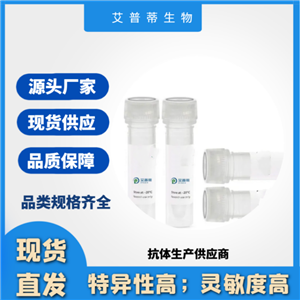 ITGA8抗体 ；ITGA8  antibody  艾普蒂生物