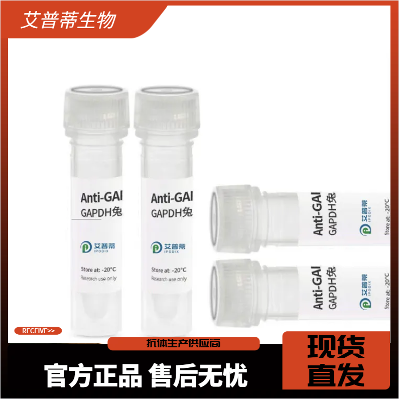 BORA抗體；BORA antibody,BORA antibody