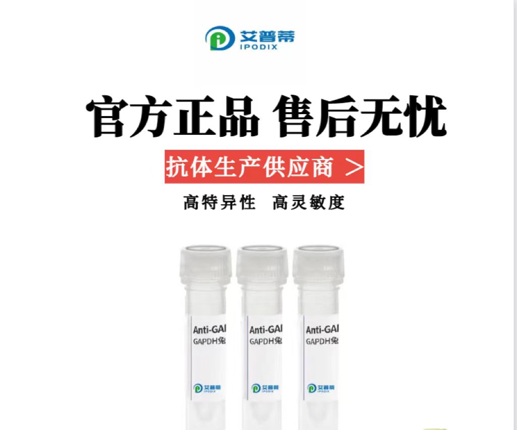 TRIM8抗體；TRIM8 antibody,TRIM8 antibody