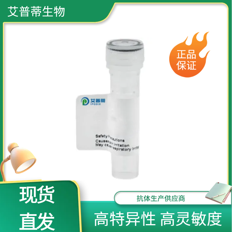 NUP210抗體；NUP210 antibody,NUP210 antibody