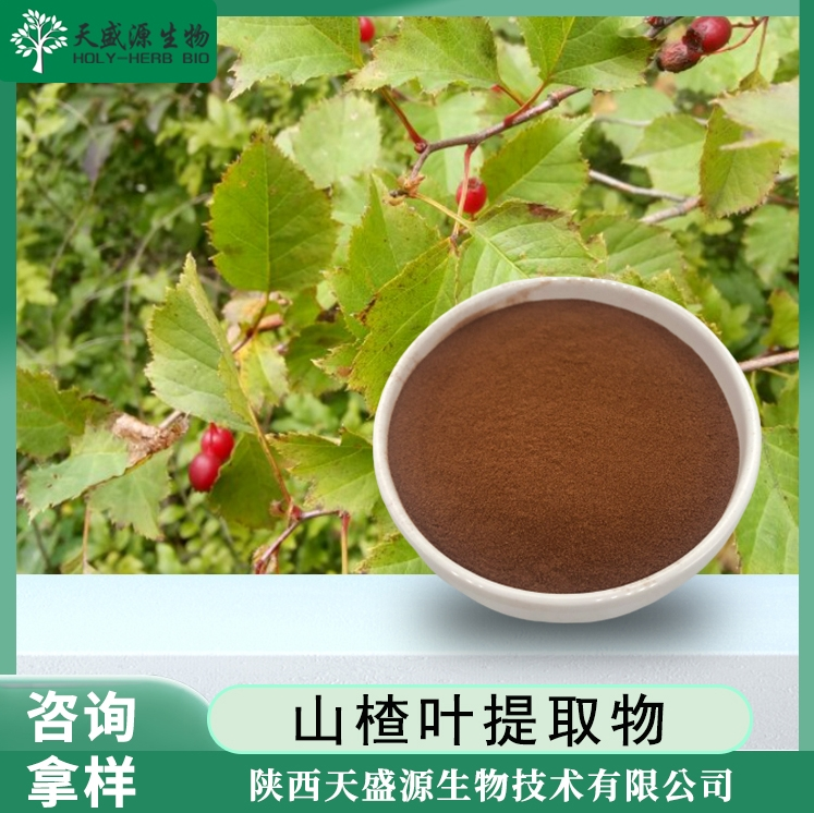 山楂叶提取物,Hawthorn Leaf Extract