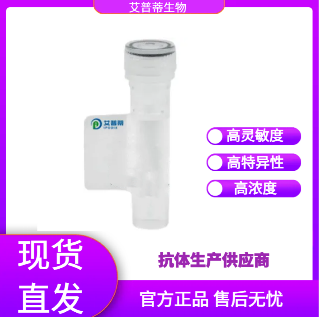 BCOR蛋白抗體；BCOR antibody,BCOR antibody