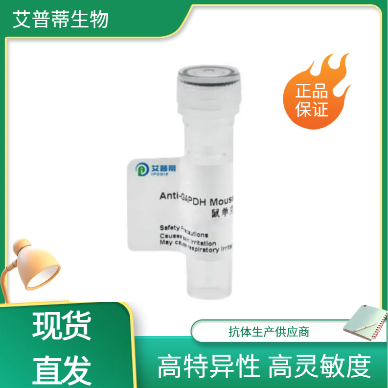 HTR3A蛋白抗體；HTR3A antibody,HTR3A antibody