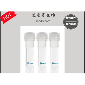 CHRND抗体；CHRND antibody   艾普蒂生物      