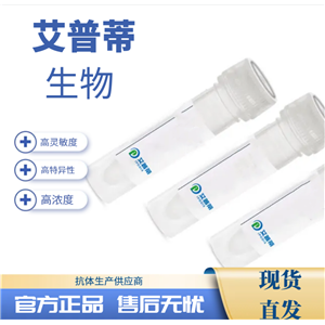 MED23抗体；MED23 antibody 艾普蒂生物      