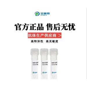 GPI抗体；GPI antibody 艾普蒂生物      