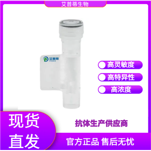 BCOR蛋白抗体；BCOR antibody  艾普蒂生物     