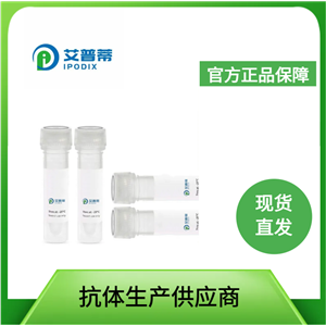 GNA13蛋白抗体；GNA13 antibody 艾普蒂生物              