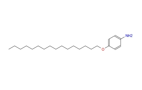 4-十六烷氧基苯胺,4-N-HEXADECYLOXYANILINE