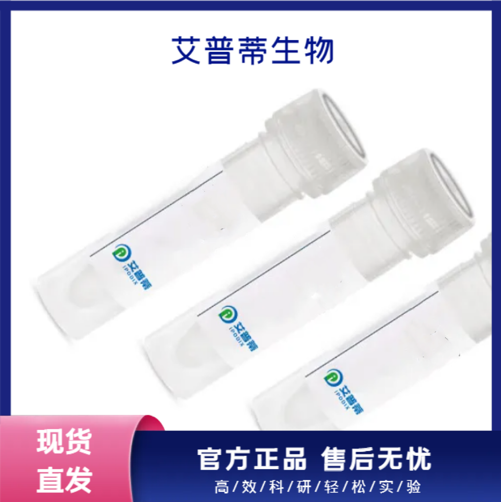 RPSA蛋白抗體；RPSA antibody,RPSA antibody