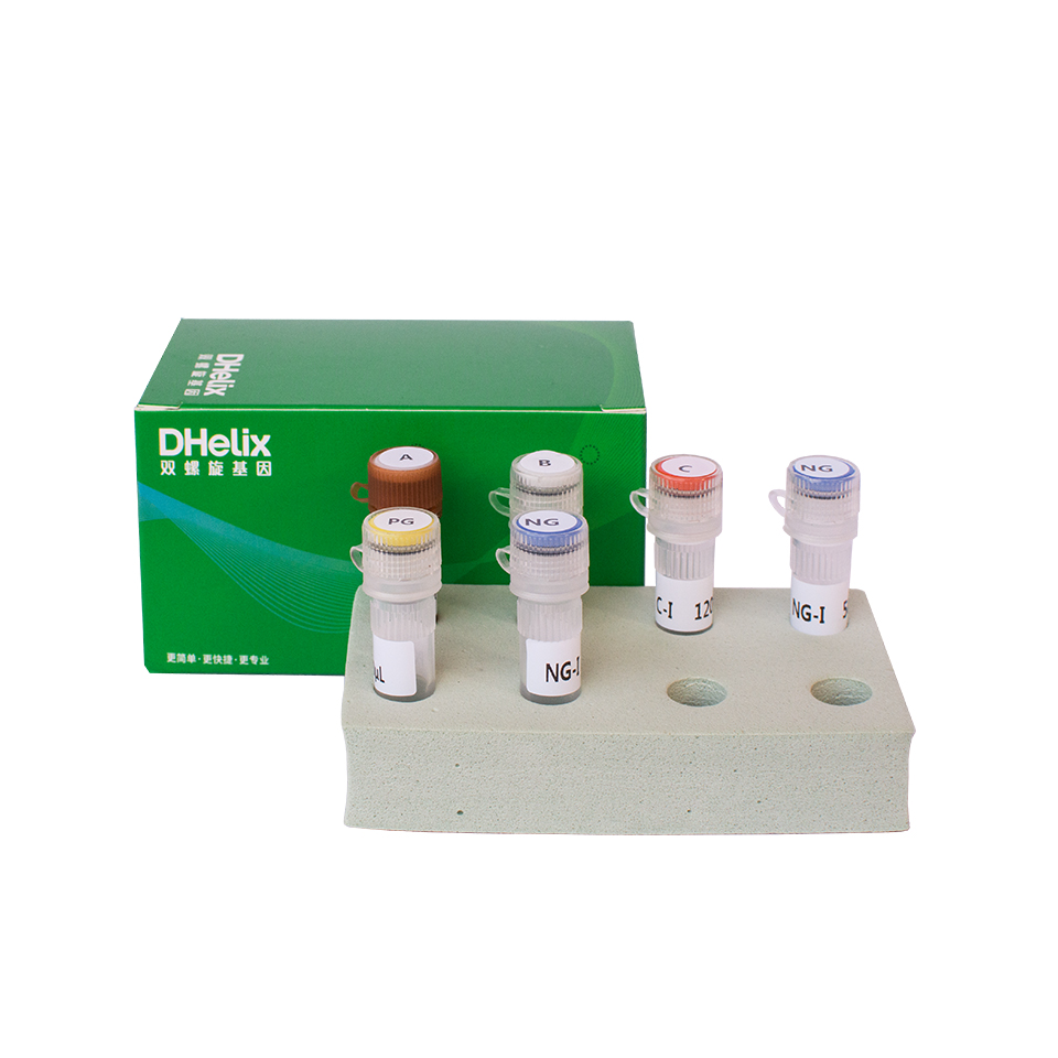 玉米内源基因核酸检测试剂盒（PCR-荧光探针法）,Corn Endogenous Gene Nucleic Acid Detection Kit (PCR Fluorescence Probe Method)
