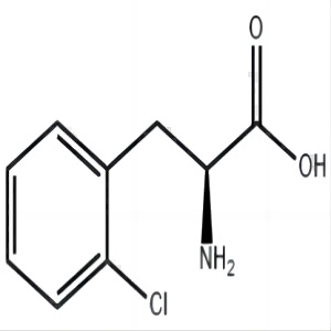 2-氯苯丙氨酸,2-AMINO-3-(2-CHLORO-PHENYL)-PROPIONIC ACID