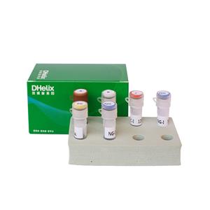 玉米内源基因核酸检测试剂盒（PCR-荧光探针法）