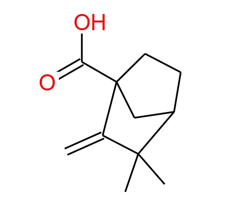 3,3-二甲基-2-亚甲基-双环[2.2.1]庚烷-1-甲酸,3,3-DIMETHYL-2-METHYLENE-BICYCLO[2.2.1]HEPTANE-1-CARBOXYLIC ACID