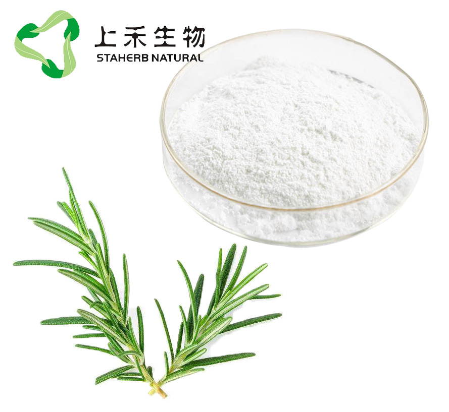 迷迭香提取物,Rosemary Herb Extract