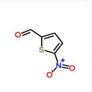 5-硝基噻吩-2-甲醛,5-Nitrothiophen-2-carbaldehyd