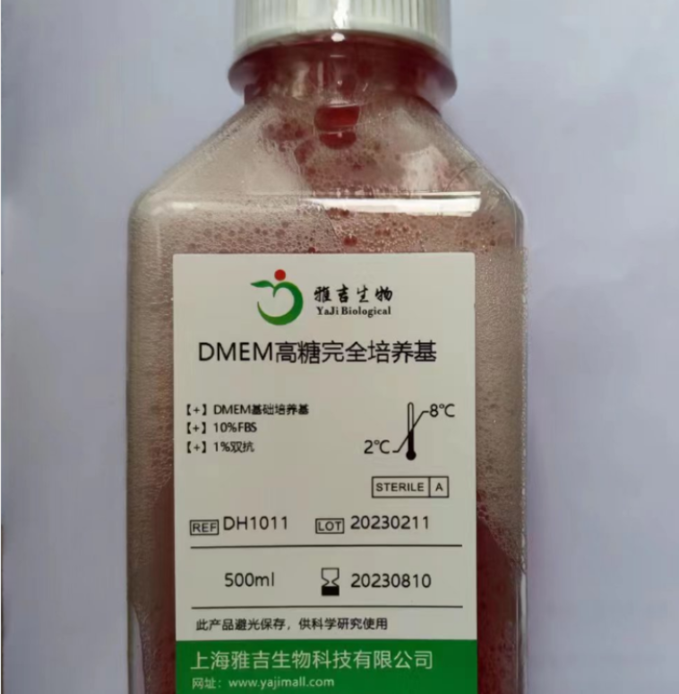 SK-MEL-24 ATCC細(xì)胞,skmel24