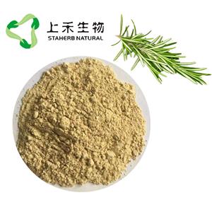 迷迭香提取物,Rosemary Herb Extract