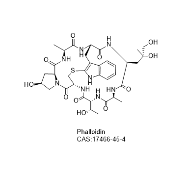 Phalloidin,Phalloidin