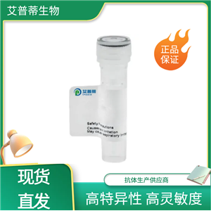 PHYKPL蛋白抗体；PHYKPL antibody 艾普蒂生物       