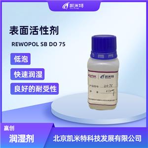 赢创表面活性助剂REWOPOL SB DO 75润湿剂