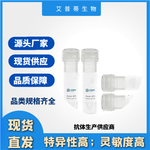AMZ2蛋白抗體；AMZ2 antibody,AMZ2 antibody