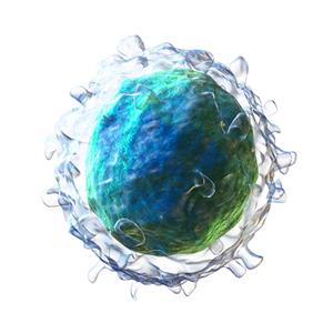 TSLP R报告细胞系/细胞株-ACROBiosystems百普赛斯