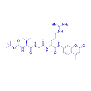 肽底物多肽Boc-VGR-AMC/113865-80-8/Boc-Val-Gly-Arg-AMC