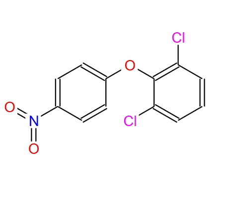 2,6 二氯苯基-4 硝基苯基醚,2,6-DICHLOROPHENYL-4-NITROPHENYL ETHER