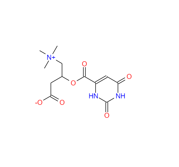 DL-肉碱乳清酸盐,DL-CARNITINE OROTATE