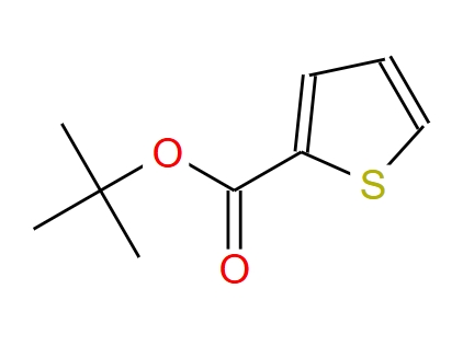 噻吩-2-羧酸叔丁酯,tert-butyl thiophene-2-carboxylate