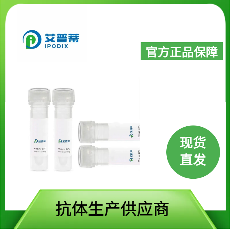 KIAA1324抗體；KIAA1324 antibody,KIAA1324 antibody