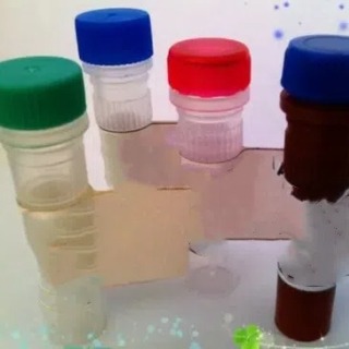 KIF25抗體；KIF25 antibody,KIF25 antibody