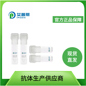 KIAA1324抗體；KIAA1324 antibody,KIAA1324 antibody