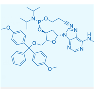 魏氏试剂    N6-Me-dA 亚磷酰胺单体—105931-58-6