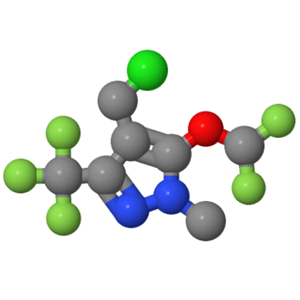 1-甲基-3-三氟甲基-4-氯甲基-5-二氟甲氧基-1-H-吡唑;656825-76-2