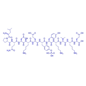 拮抗剂多肽pJAK2(1001–1013)/1259928-08-9/pJAK2(1001–1013)