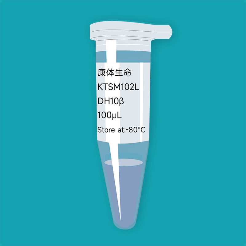 納米抗體-感受態(tài)細(xì)胞DH10B