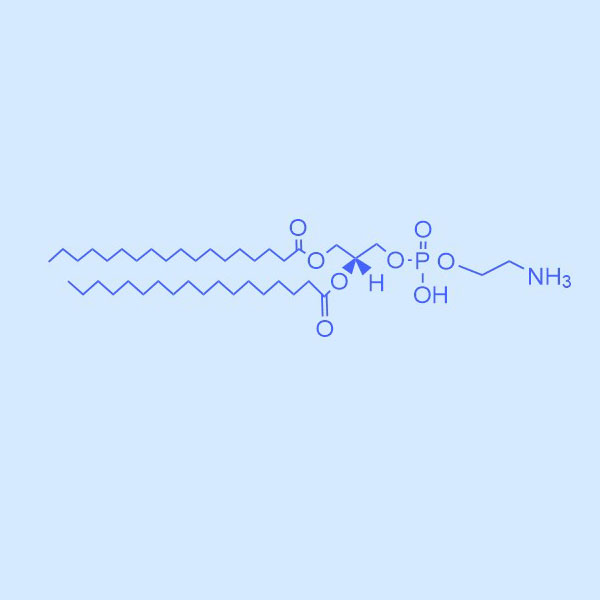 DSPE-Biotin 二硬脂酰基磷脂酰乙醇胺-生物素,DSPE-Biotin