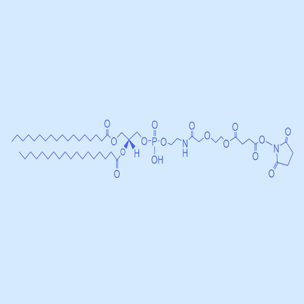 DSPE-NHS 二硬脂?；字Ｒ掖及?活性酯,DSPE-NHS