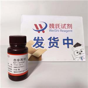 奈非西坦,Nefiracetam