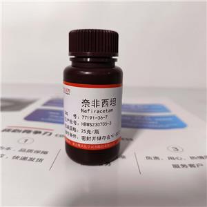 奈非西坦,Nefiracetam