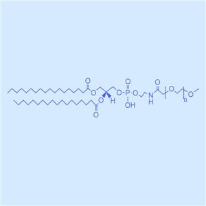 DSPE-NHS,二硬脂?；字Ｒ掖及?活性酯