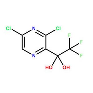 1-(3,5-二氯-2-吡嗪基)-2,2,2-三氟乙烷-1,1-二醇