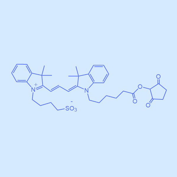 Cy3-NHS 花菁染料Cy3-活性酯,Cyanine3 NHS