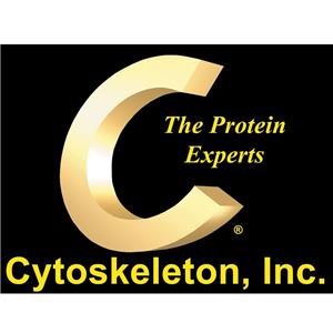 Cytoskeleton篩選試劑,Cytoskeleton Screen Kits