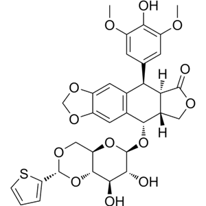Chemleader  替尼泊苷, Teniposide, 29767-20-2, Purity: 98%