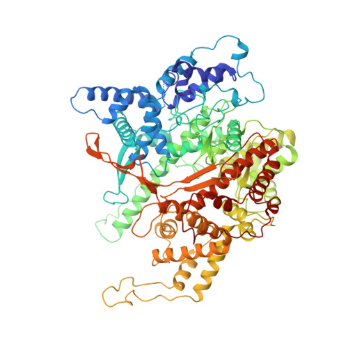 T7 RNA聚合酶,T7 RNA Polymerase